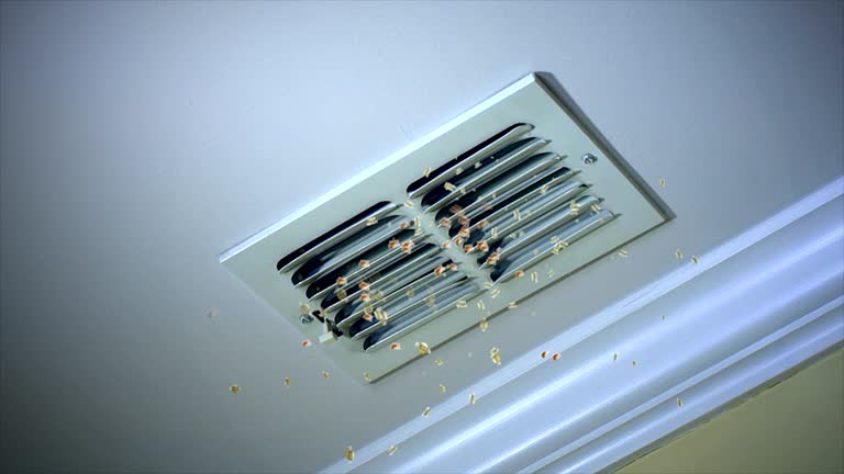 Best Air Duct Sanitizing Services  in Owensville, MO